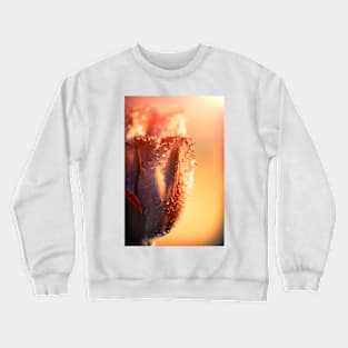 Sun Rays Flower Crewneck Sweatshirt